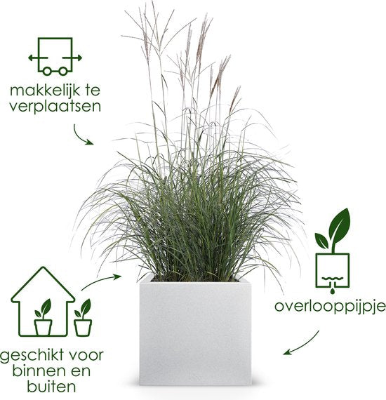 Elho Vivo Next Vierkant 40 - Plantenbak voor Binnen & Buiten - 100% Gerecycled Plastic - L 39.0 x H 37.9 cm - Wit