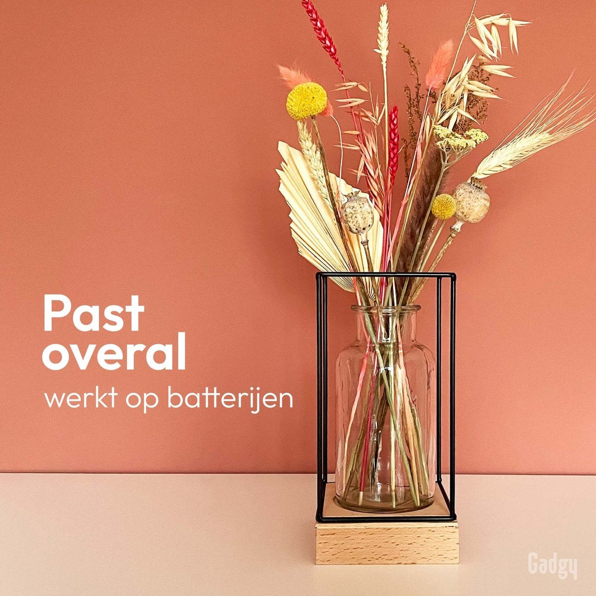 Gadgy Vaas met LED Verlichting - Vaaslamp - Glazen Vaas met Lamp - Moederdag Cadeautje - Hydroponie - Werkt op Batterijen – Tafellamp  - Ø11 cm