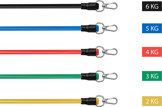 Rebblo - Home Workout Set – 10-delig – Weerstandsbanden – Enkelbanden – Handvaten – Deuranker – Fitness Set Incl. Opbergtas - 2/3/4/5/6 kg