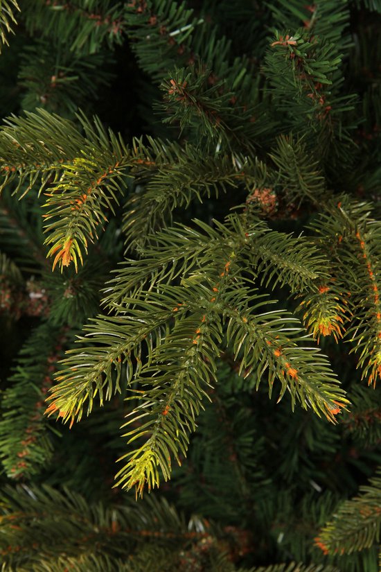 Black Box Trees Frasier Kunstboom - Kerstboom met Grillige Natuurlijke Vorm - PE Naalden en Scharnierconstructie - Kerstversiering voor Binnen - H155 x D109 cm - Groen