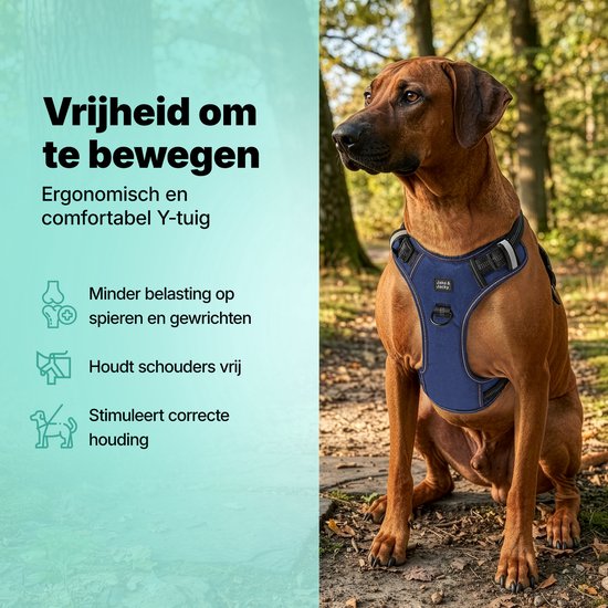 Jake and Jacky Hondentuigje - Anti-Trek Tuig - Hondenharnas - Y Tuig Hond - Reflecterend - Blauw - Maat S