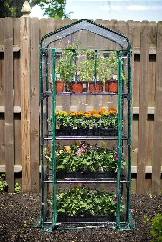 Kinzo Garden - Plastic broeikas - Serre van 4 verdiepingen - 69 x 49 x 160 cm - Groen