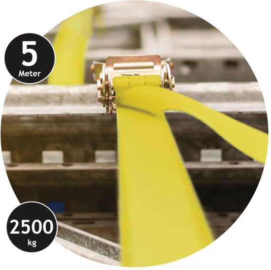 Dunlop Spanband met Ratel - 5 M - tot 2500 KG - Geel