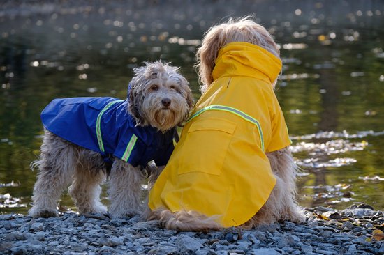 Dutchwide - Hondenjas - Regenjas Hond - Blauw - Maat S