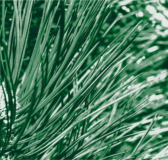Kneipp Men - Nature Feeling - Douche 2-in-1