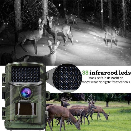 CAMUX Professionele Wildcamera 16MP - Nachtzicht - Incl. 32GB SD Kaart - Groen