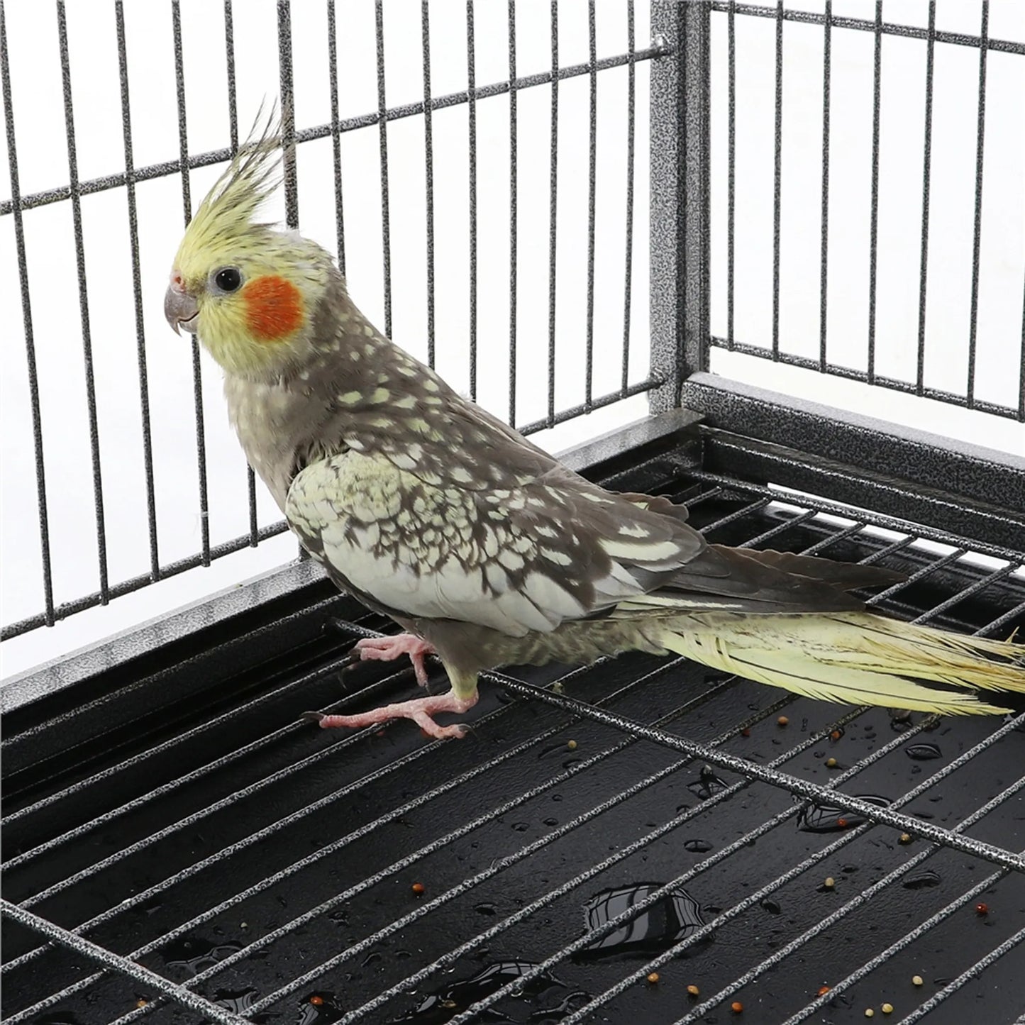 Yaheetech XXL Vogelkooi Met 360° Zwenkwielen – Voorzien Van Onderste Opbergplank En 4 Zitstokken En Verwijderbare Bodemplaat – Voor Parkieten En Valkparkieten – Zwart Metaal – 93,5 x 56,5 x 153 cm