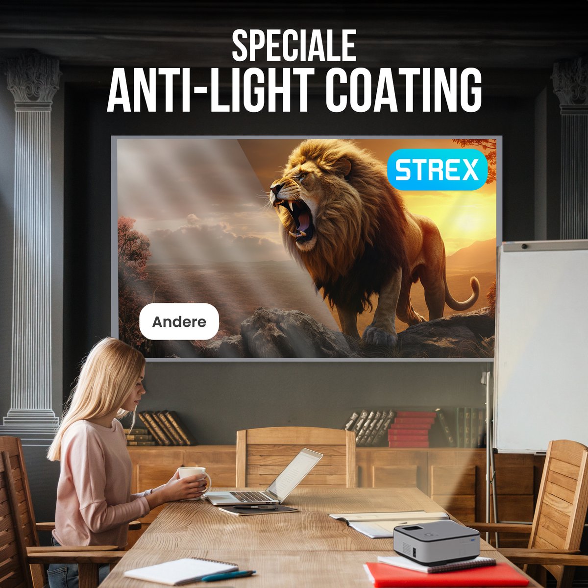 Strex - Beamerscherm - 100 Inch  -160° Kijkhoek - Incl. Bevestigingsmateriaal - 220x120 CM - Grijs