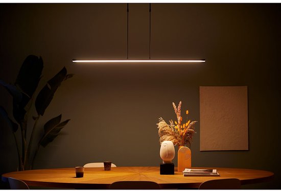 Hanglamp Steinhauer Zelena 1482ZW, Zwart, Uitschuifbaar, Hoogte verstelbaar, Lengte 122cm, Breedte 3cm, Materiaal: Elektronica, Kunststof, Metaal