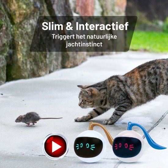 Otiume Interactieve Kattenbal – Zelfrollend – USB Oplaadbaar – Speeltje