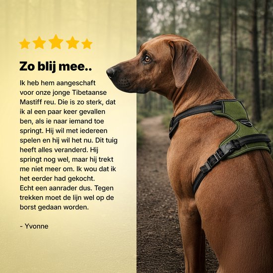 Jake en Jacky Hondentuigje - Anti-Trek Tuig - Hondenharnas - Y Tuig Hond - Reflecterend - Groen- Maat S
