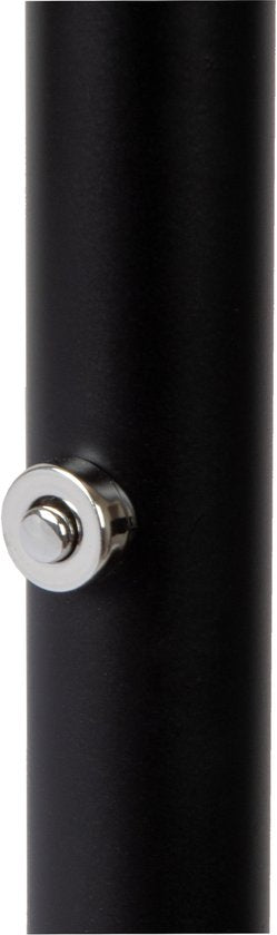 Lucide ZENITH - Vloerlamp - LED Dimbaar - 1x20W 3000K - Zwart