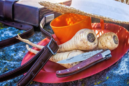 Laguiole Style de Vie Zakmes - in geschenkdoos - Rood pakkahout
