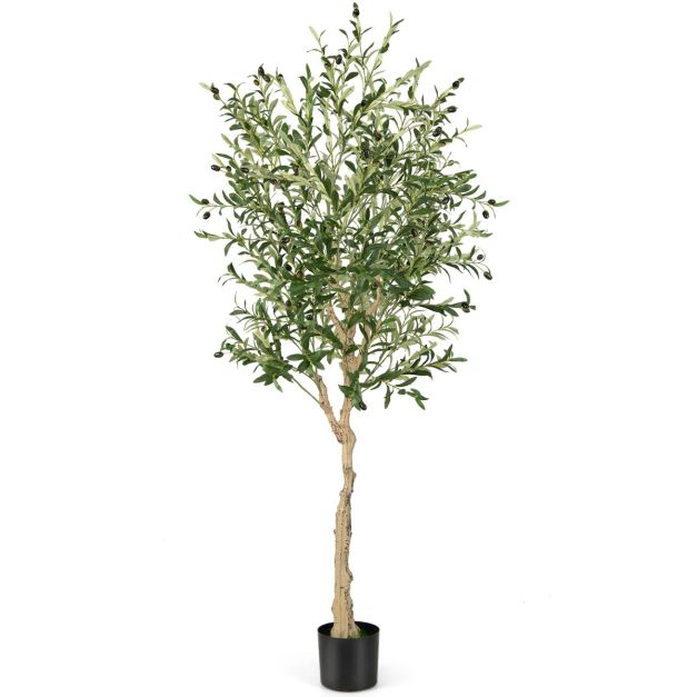Coast Kunstmatige Olijfboom - 182 cm - 1296 Bladeren - Cementpot
