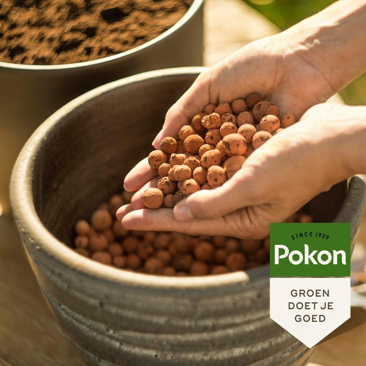 Pokon Hydrokorrels - 10l - Kleikorrels - Goed voor drainage