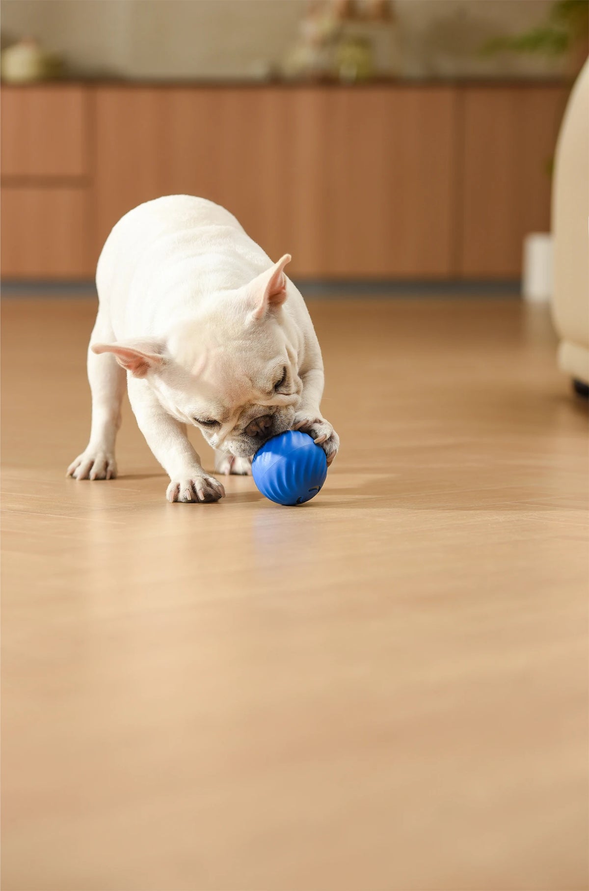 Petgravity Snack Shack Ball Blue