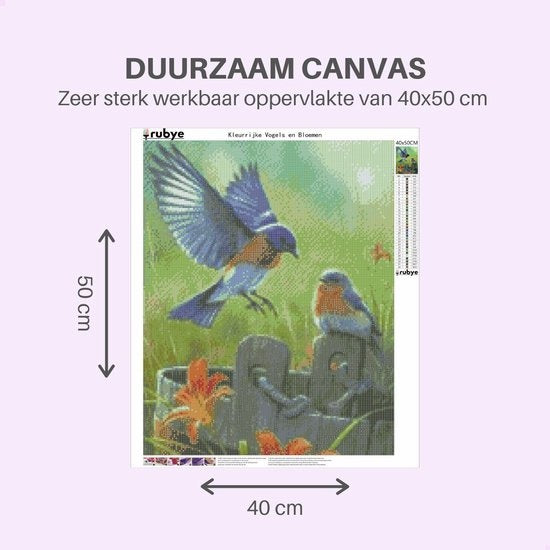 Rubye® Diamond Painting Volwassenen - Diamond Painting Kinderen - Diamond Painting Pakket Volledig - Vogels en Bloemen - 40x50cm