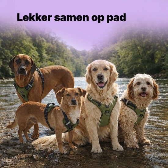 Jake en Jacky Hondentuigje - Anti-Trek Tuig - Hondenharnas - Y Tuig Hond - Reflecterend - Groen- Maat S