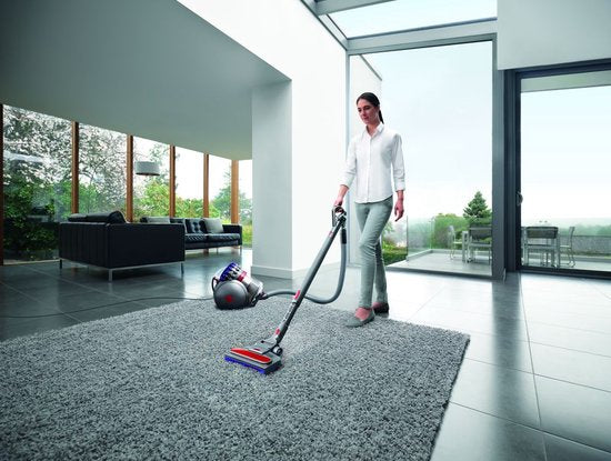 Dyson Big Ball Absolute 2 - Stofzuiger - Nikkel