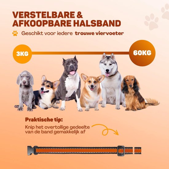 Vulpes Goods® Anti Blafband Pro – 3-in-1 Trainingshalsband Zonder Schok – Oplaadbaar & Waterdicht