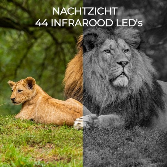 Denver Wildcamera met Nachtzicht - Live beelden (APP) - FULL HD - Waterdicht - WCT8020W