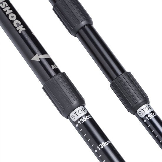 Nordic Walking Stokken – Telescopisch – 2 Paar – Grijs