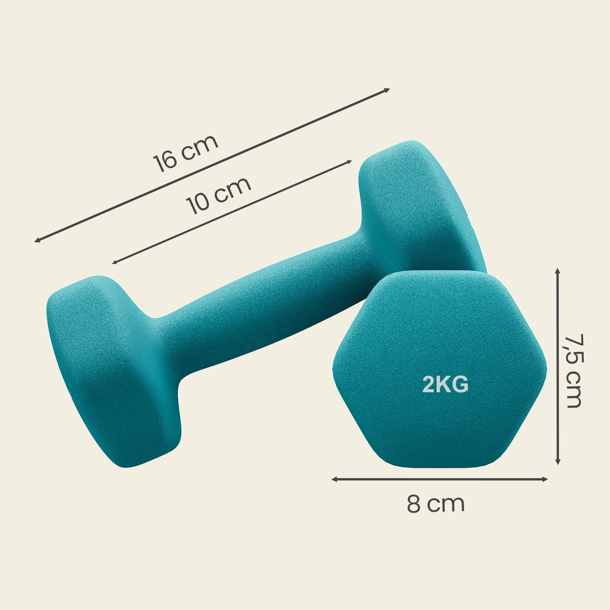 JOYFURNOS limoengroen - blauwgroen en lichtgrijs set zeskantige dumbbells - inclusief standaard