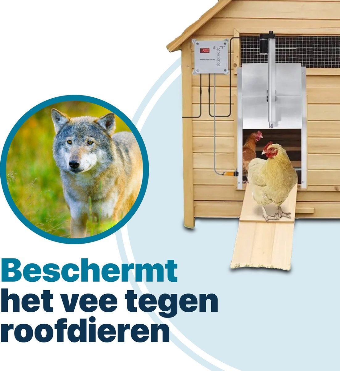 Automatische Kippendeur - Met Infraroodsensor - Automatisch Kippenluik - Hokopener voor kippen