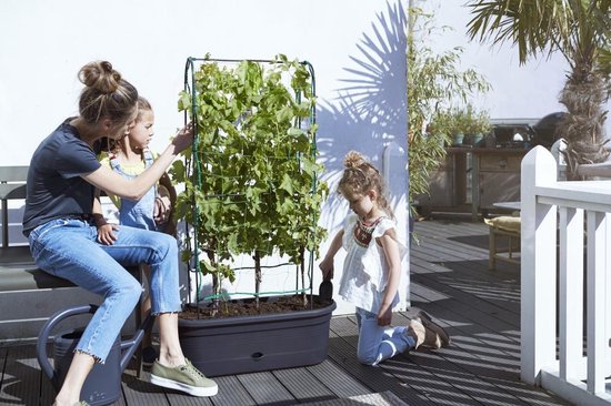 Elho Green Basics Veggie Wall 80 - Kweekbak - Verticaal Tuinieren - 100% Gerecycled Plastic - Ø 77.5 x H 26.0 cm - Living black