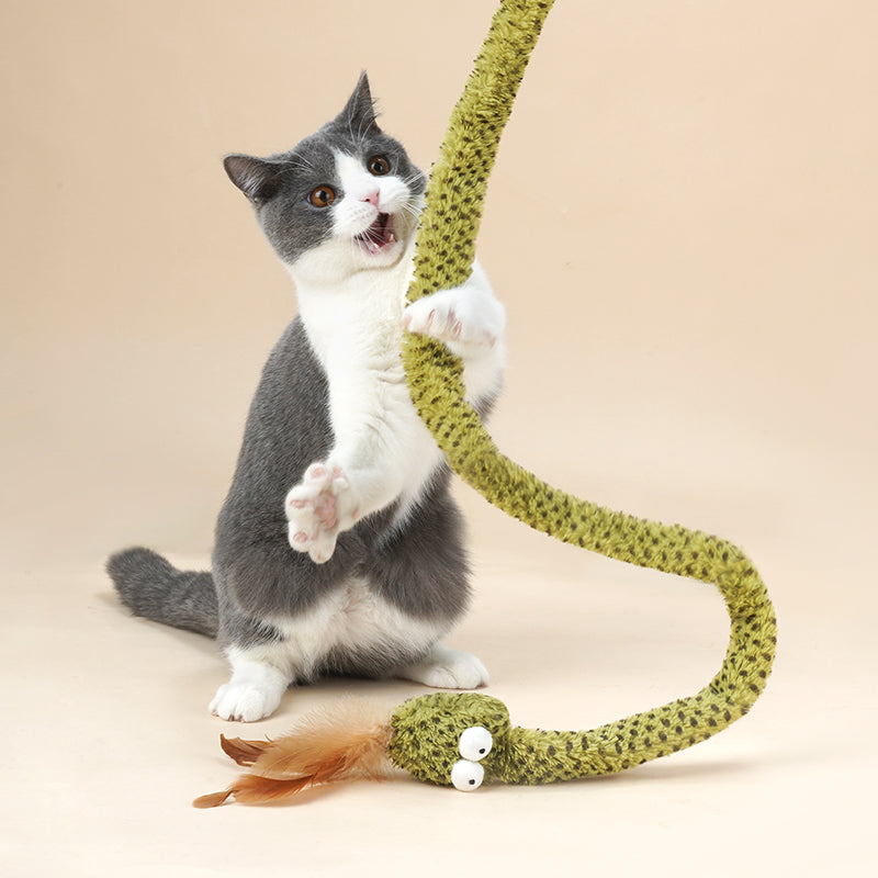 zeze ratelslang-kattenhengel