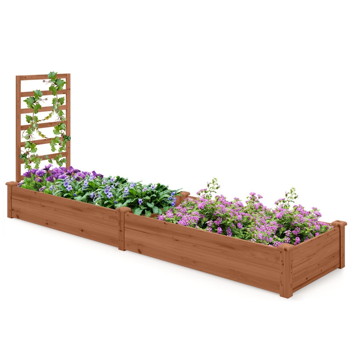 Coast Verhoogd Bloembed met Klimrek - Plantenbak met 2 Vakken - Natuurlijk Dennenhout - 235 x 63 x 102 cm