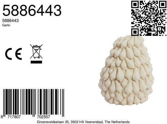 Light & Living Vaas Garlic 47cm - Crème
