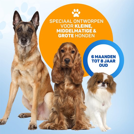 Vulpes Goods® Ultrasone Anti Blaf Apparaat – 4-in-1 Anti Blaf Apparaat Max - Zonder Schok - alternatief Anti Blafband - voor Kleine & Grote Honden - Audio - Flashlight - Zaklamp - USB-Oplaadbaar