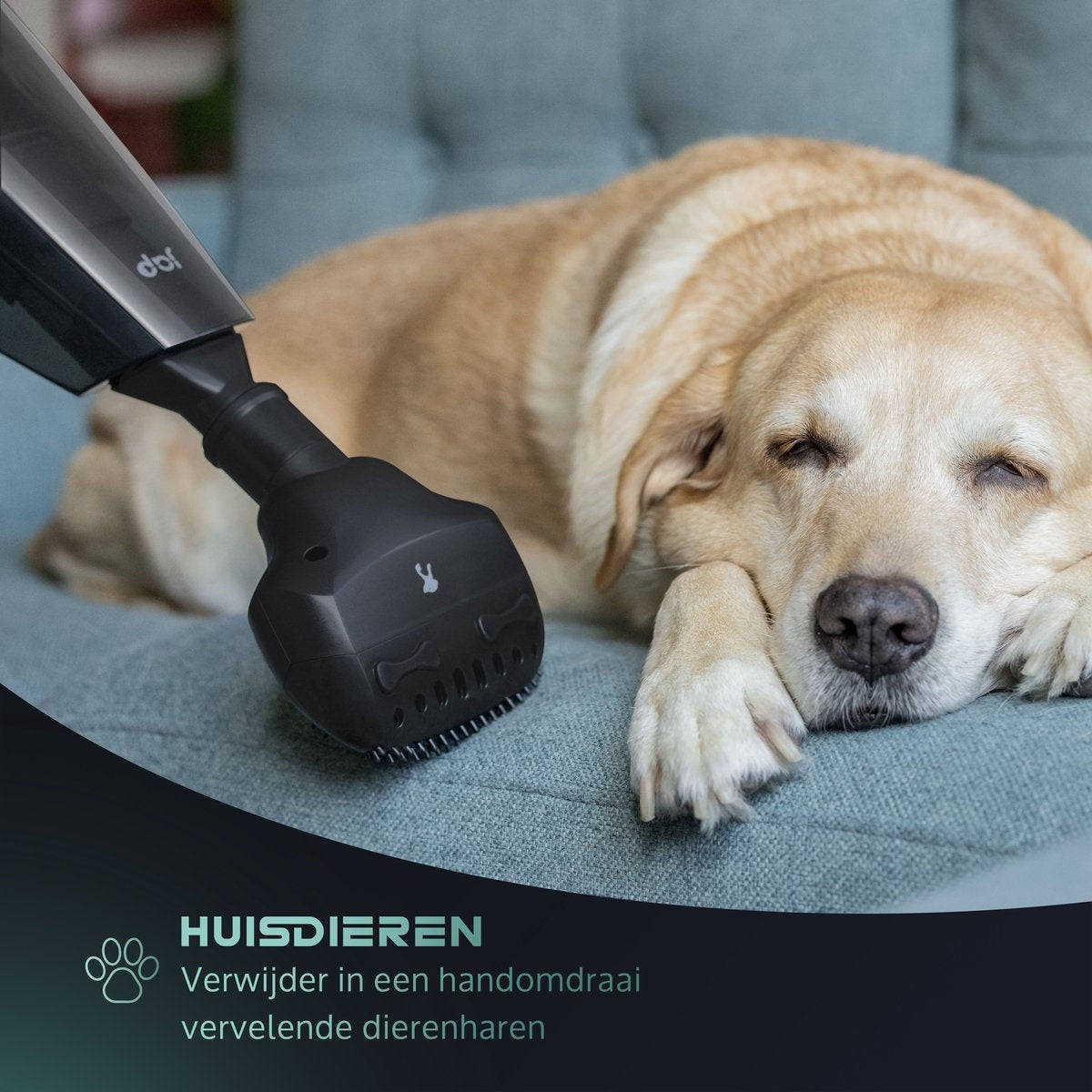 JAP Appliances Tornado S3C - Kruimeldief snoerloos (150W) met oplaadhangsysteem - 5 Opzetstukken en 2 HEPA-filters - Nat en Droog handstofzuiger - Kruimelzuiger draadloos - Auto stofzuiger