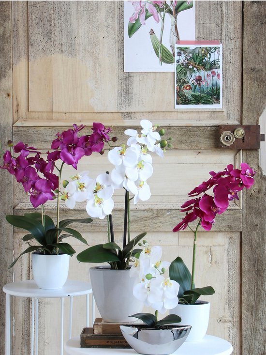 Mica Decorations Phalaenopsis Kunstplant in Bloempot Tusca - H60 x Ø16 cm - Paars