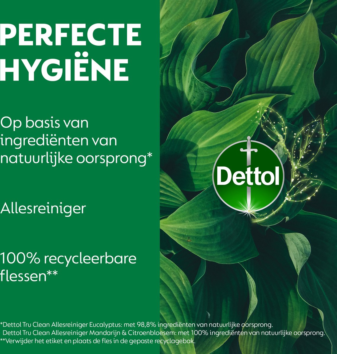 Dettol Allesreiniger Spray - Tru Clean - Mandarijn & Citroenbloesem - 500 ml