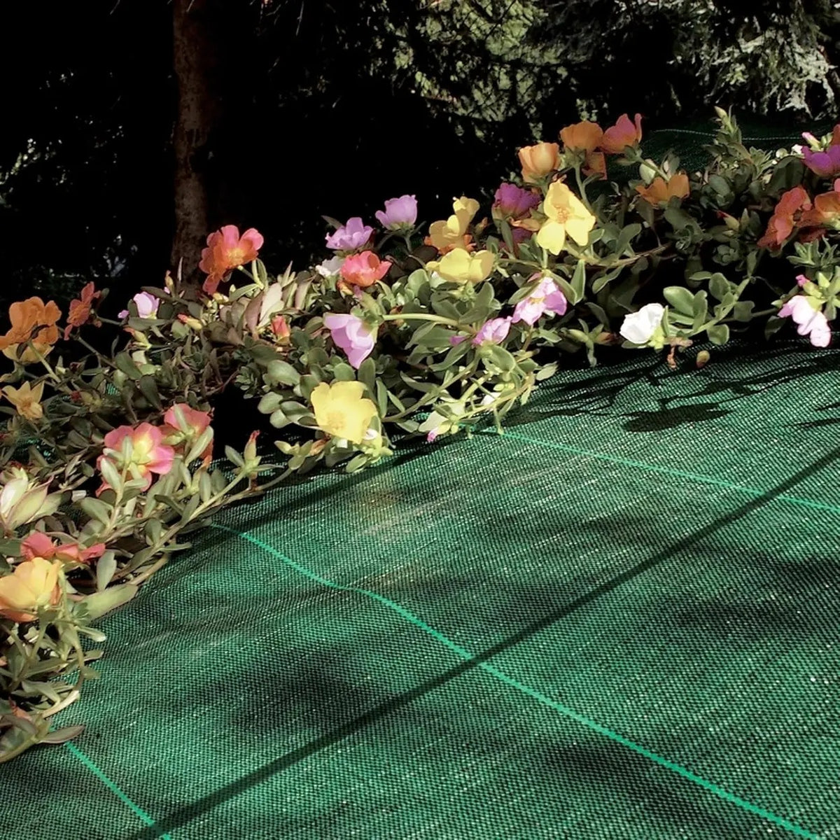 TENAX Cover Pro Afdekdoek - Groen - 1,60 x 5 m