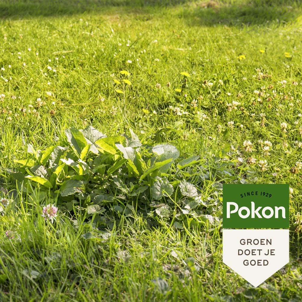 Pokon Onkruid Weg Gazonmeststof - 120 mÂ² - 2,4 kg