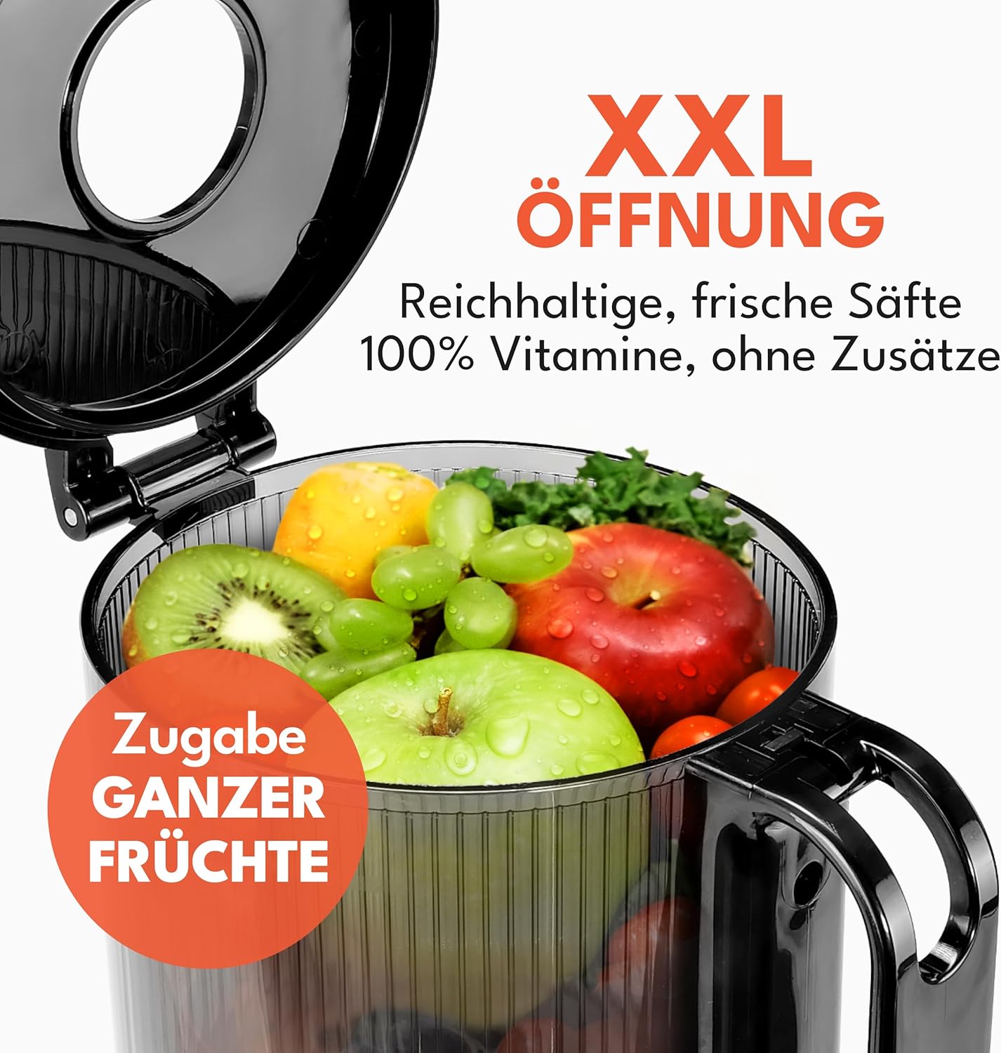 Lebenlang Slow Juicer sapcentrifuge - Incl. 2 Sapbekers - 250 W - BPA-vrij - Zwart - 38 x 34 x 20 cm