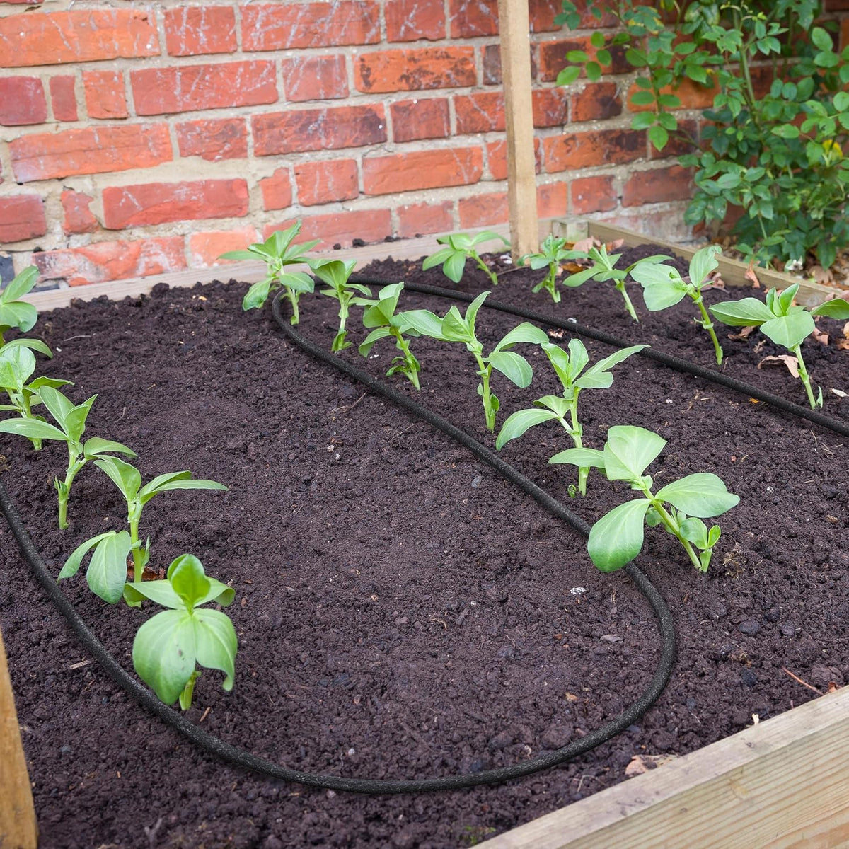 Yaheetech Druppelslang 50 m – 16 mm, met aansluitset voor tuinbewatering