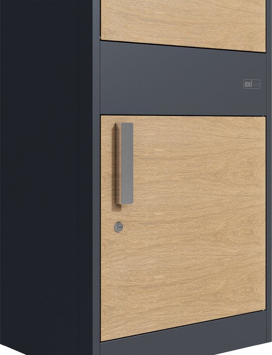 AXI Levi Pakketbrievenbus van Metaal Antraciet/Houtlook – Pakketbox voor meerdere pakketjes – Inclusief slot en apart vak voor post – 50,6 x 38,3 x 112 cm