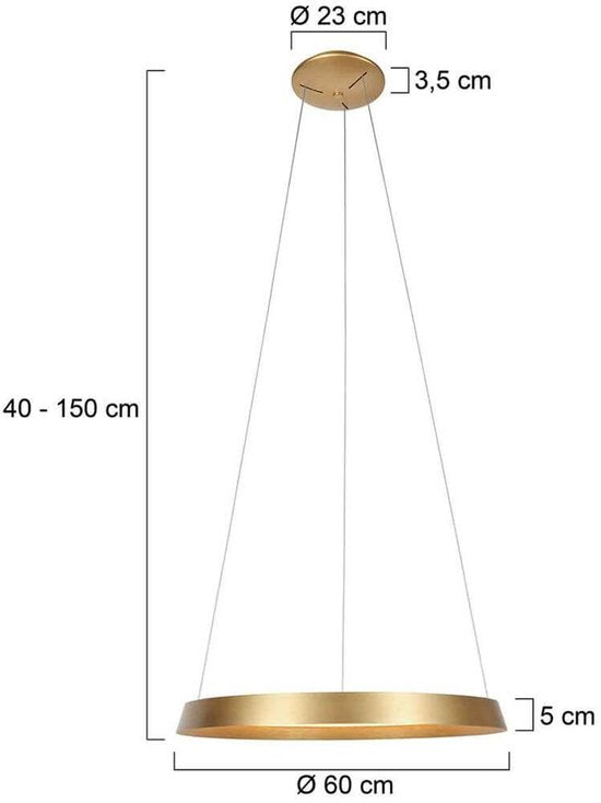 Steinhauer - hanglamp - Ringlux - goud - metaal - Ø 60cm - LED - 3692GO