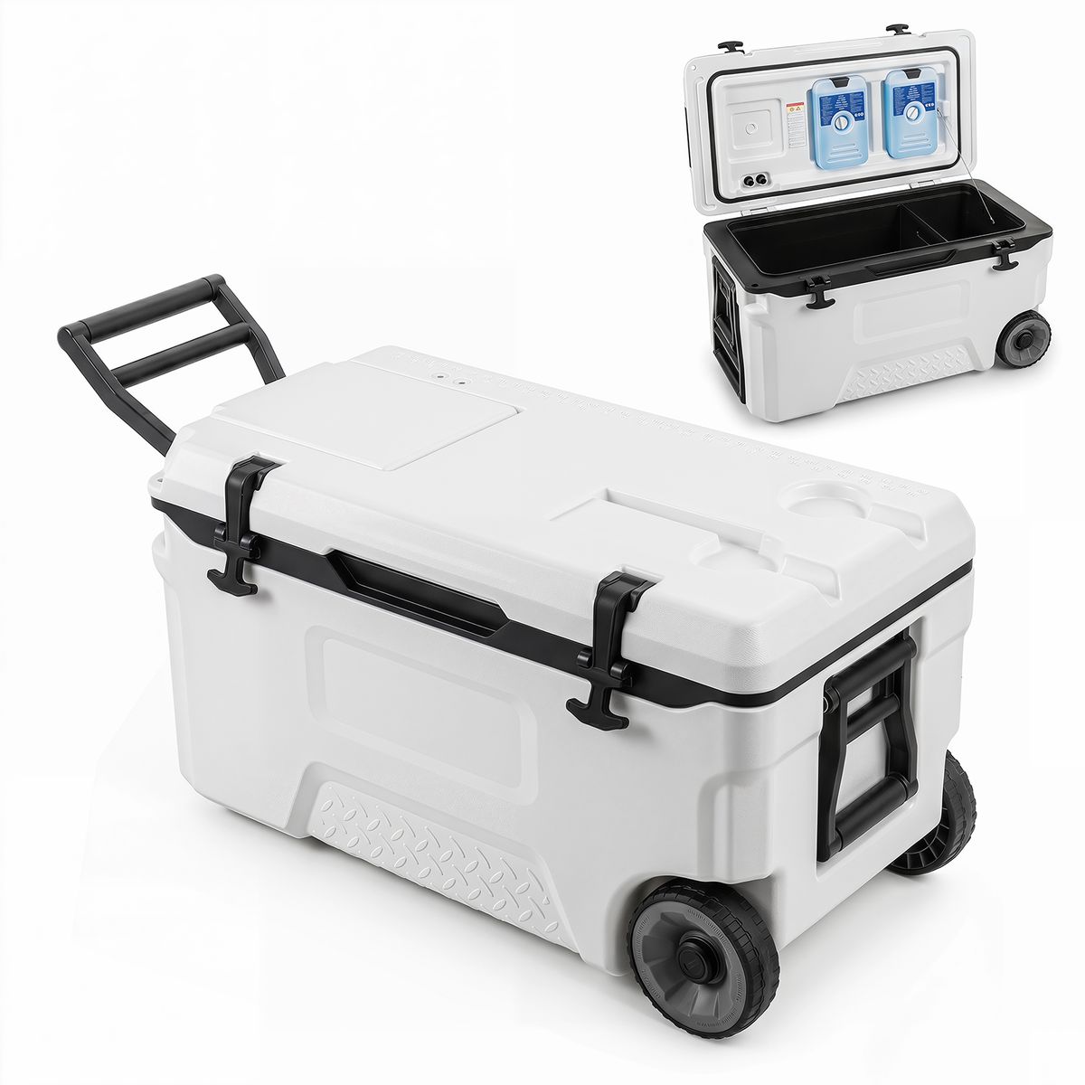 Coast Koelbox - met wieltjes en handgreep - afvoerstop - wit 50 L / maat M