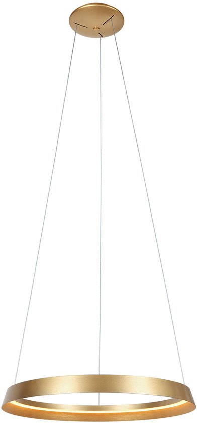 Steinhauer - hanglamp - Ringlux - goud - metaal - Ø 60cm - LED - 3692GO