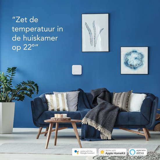 tado° Slimme Thermostaat Starterkit V3+ met 2 Slimme Radiatorknoppen