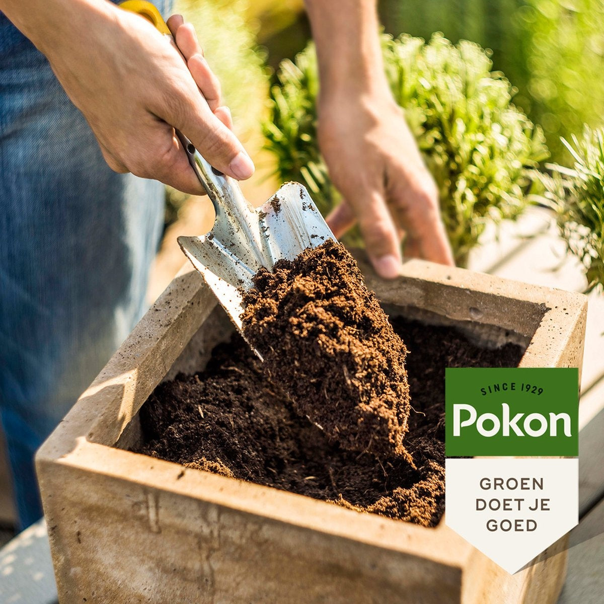 Pokon Kamerplanten Potgrond - 10l - Potgrond (kamerplant) - 6 maanden voeding