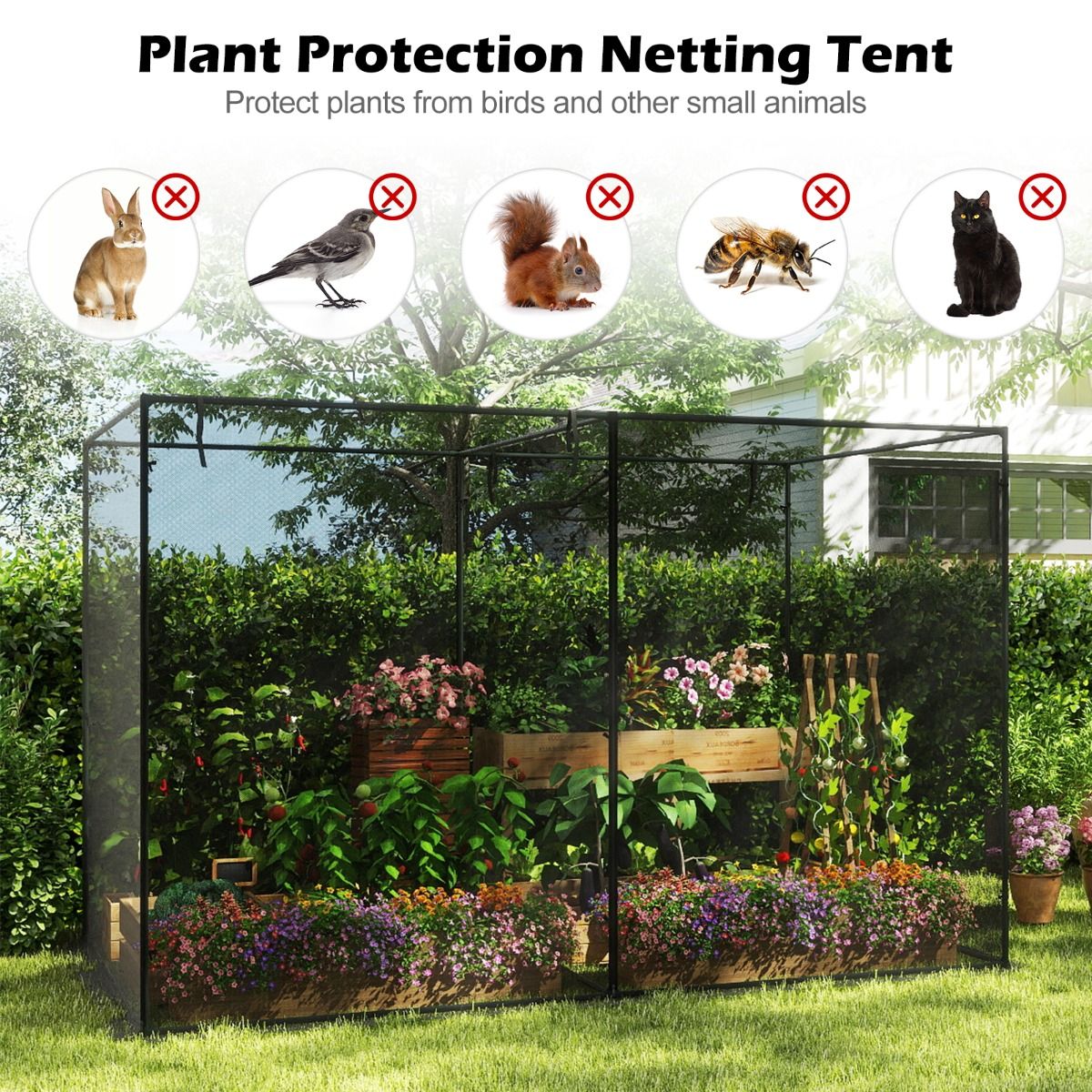 Coast Plantentent - Metalen frame - Insectengaas - Met draagtas - 310 x 200 x 200 cm - Zwart