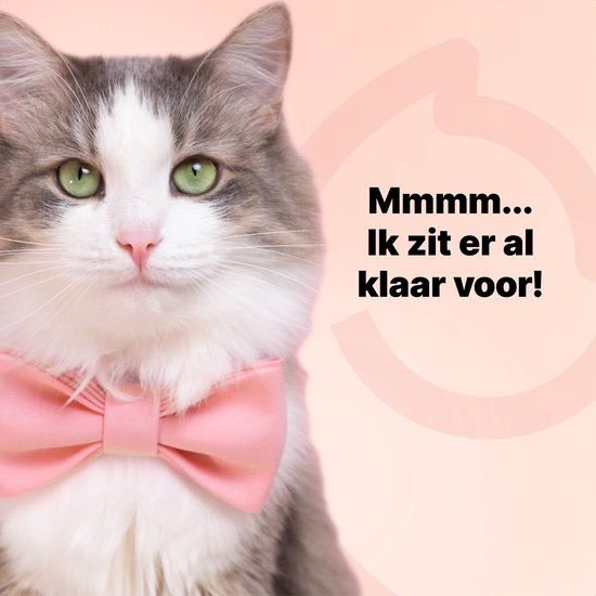 Jake en Jacky Automatische Voerbak Kat en Hond - 5 Liter - Inclusief 2 RVS Voerbakken & 2 Slowfeeders - Voerautomaat & Anti-Schrokbak - Voerdispenser - Eetbak voor Katten & Honden - Zwart