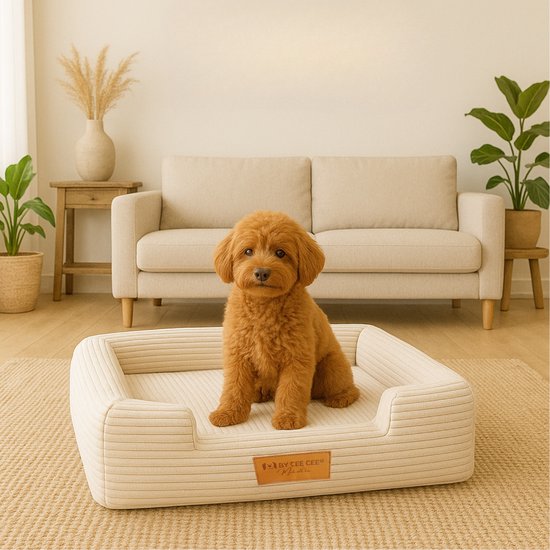 By Cee Cee Orthopedische Hondenmand – Orthopedisch Hondenkussen – Hondenbed – Ribstof - Voor Kleine Honden - Beige - 80x55