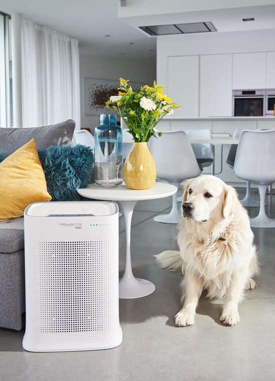 Rowenta Luchtreiniger - Pure Air Genius PU3080F0 - Wit